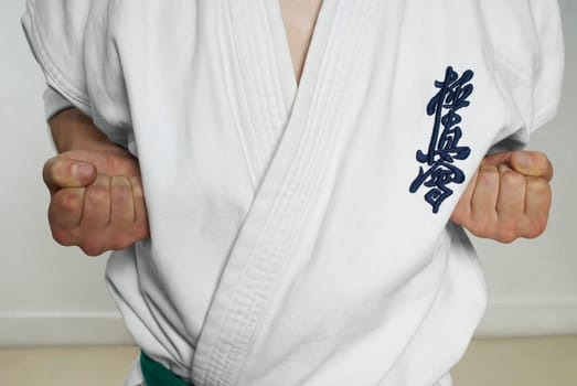 Mid section view of a man practicing karate