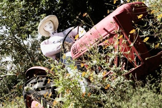 Scarecrow sitting in a tractor