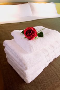 Flower on a stack of towels