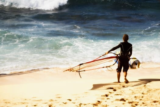 Rear view of a man carrying a windsurfing board on the beach, Hookipa Beach, Maui, Hawaii, USA