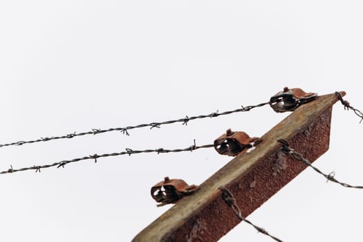 Barbed wire on the fence.
