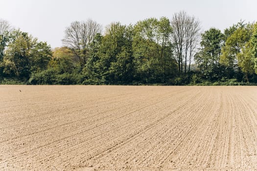 Ploughed field under a blue sky. A wide angle shot of a ploughed, tree-lined field.