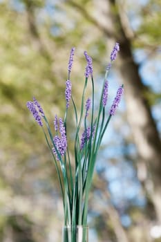 Close_up of lavender flowers in a vase