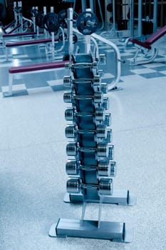 Dumbbells on a rack in a gym