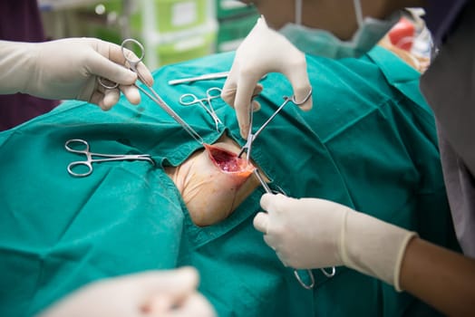 Veterinarian performing an operation in the operating room
