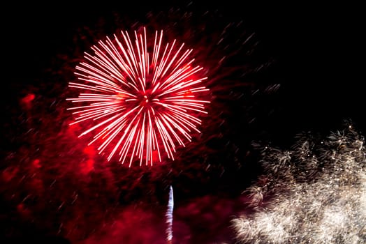 Colourful multiple fireworks in the night sky