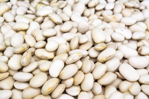 White Beans also known as beans or bean spanish