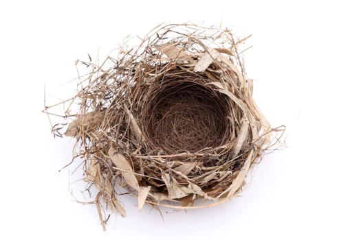 Detail of empty bird nest