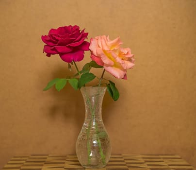 Two Roses in a Vase against Grunge background