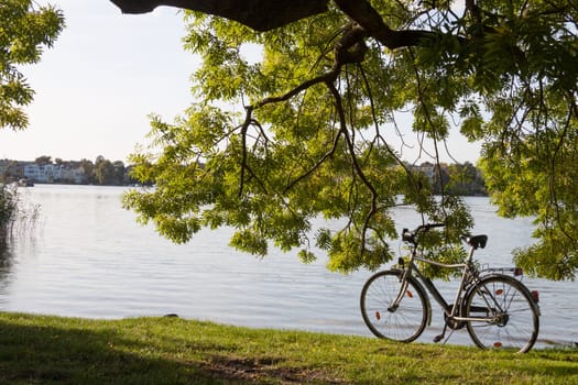 Bicycle on the shores of the deep lake in Potsdam