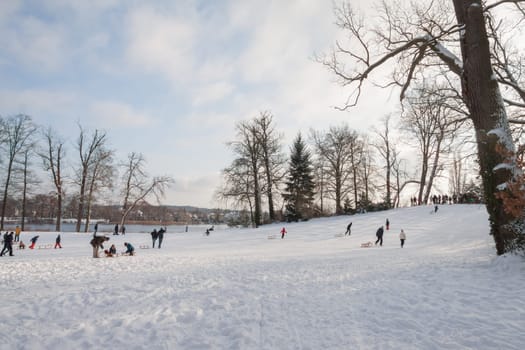People at the Rodelberg in the Park