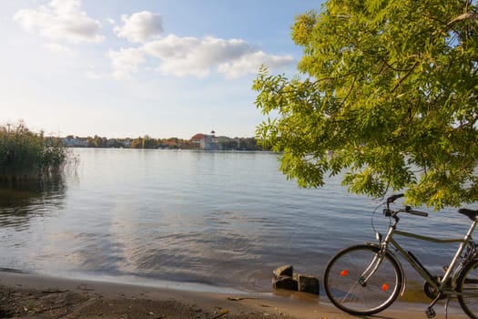 Bicycle stands under a tree by the lake