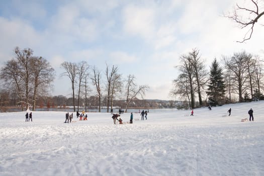 People at the Rodelberg in the Park