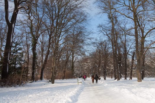 Park in the snow with passers-by