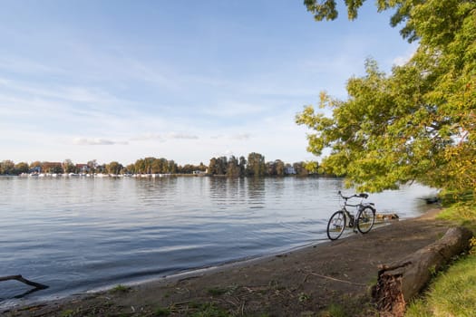Bicycle stands under a tree by the lake