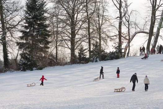People at the Rodelberg in the Park