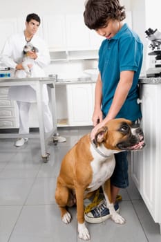 Boy stroking a dog with a vet in the background