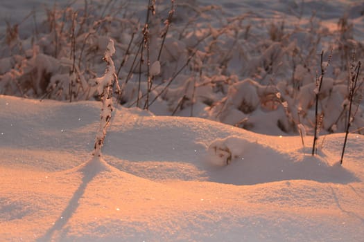 snow at sunset