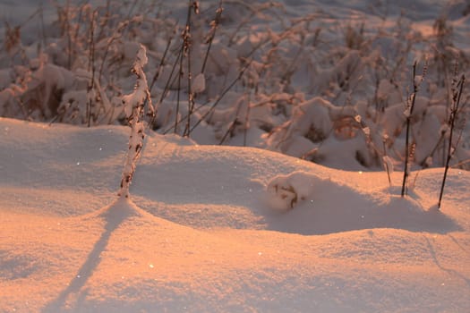 snow at sunset