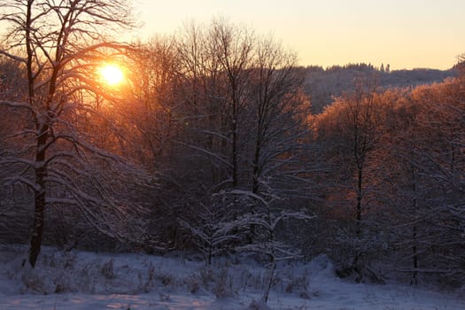 winter landscape at sunset