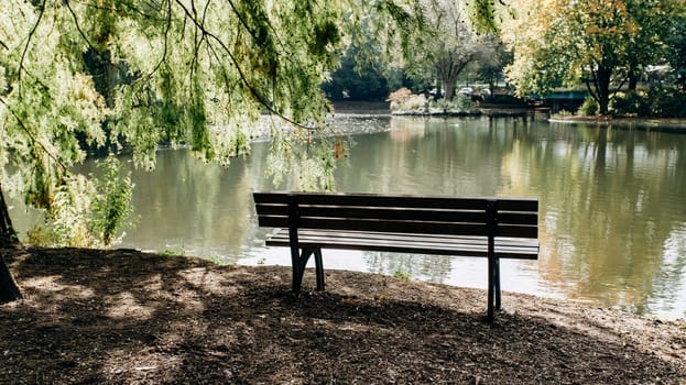 Empty bench on the shore of lake framed by trees with beautiful view of the lake's coast