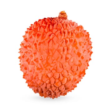 Isolated lychees. One whole ripe litchi fruit isolate on white background with clipping path for package design. Full depth of field. Healthy food concept. High resolution image