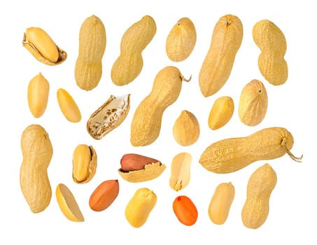 Collection of groundnuts. Different peanuts shelled and in nutshell. Package design element with clipping path. High resolution image