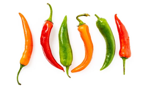 hot chilli peppers isolated on white background