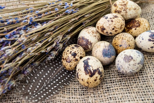 Fresh quail eggs. Rustic style