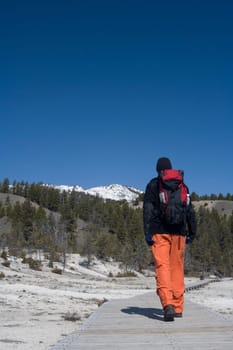 Hiker walking on the road, Mammoth Hot Springs, Yellowstone National Park, Wyoming, USA