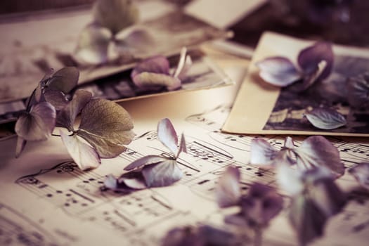 Memories - old and antique family photos dated to 1930 with old photo album and music notes with dried flowers in vintage style