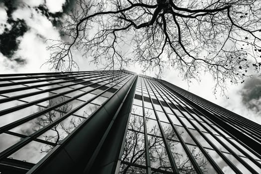 low angle view of skyscrapers. modern building