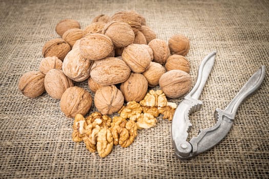 Walnut kernel background. Nutcracker with walnut