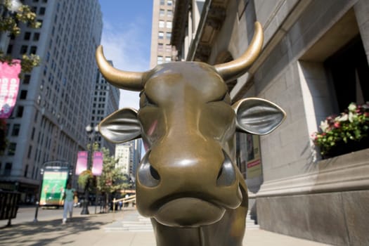 Close_up of the bronze statue of a cow, Hanig Cow, Chicago, Illinois, USA