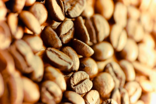 Close_up of coffee beans