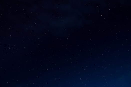 Stars at night with backlit trees