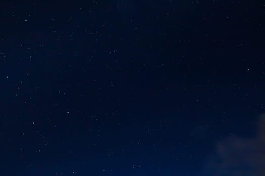 Stars at night with backlit trees
