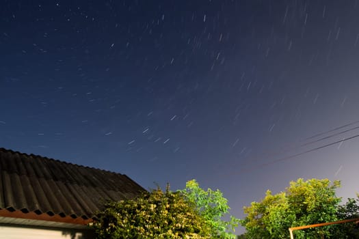 Stars at night with backlit trees