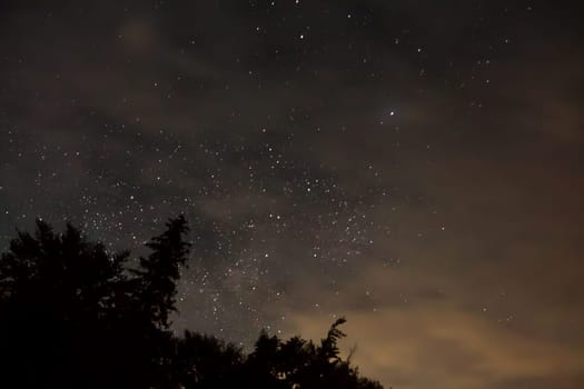 Stars at night with backlit trees