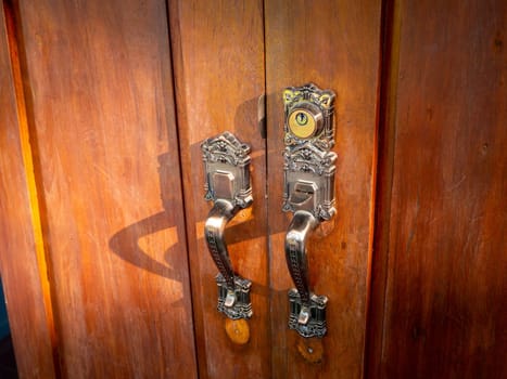 vintage door View to brown wooden enterance
