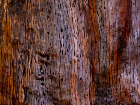 Brown wood texture. Abstract for background, empty template