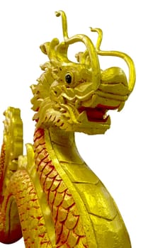 golden and red Chinese dragon on isolate background