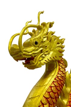 golden and red Chinese dragon on isolate background