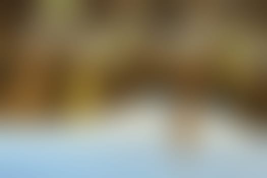 a blurred background texture color lines bokeh
