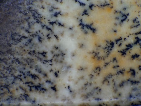 leopard skin jasper gemstone in a macro shot
