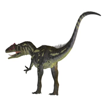 Allosaurus was a carnivorous theropod dinosaur that lived in North America in the Jurassic Period.