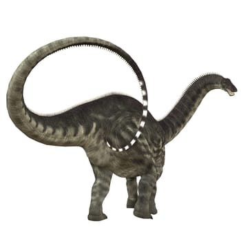 Apatosaurus also called Brontosaurus was a herbivorous sauropod dinosaur that lived in the Jurassic Period of North America.