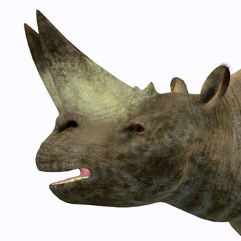 Arsinoitherium was a herbivorous rhinoceros-like mammal that lived in Africa in the Early Oligocene Period.