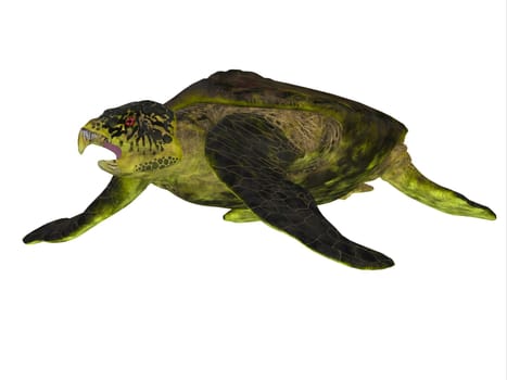 Archelon was a giant marine turtle that lived in South Dakota, USA in the Cretaceous Period.
