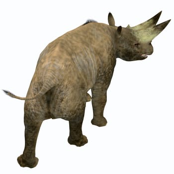 Arsinoitherium was a herbivorous rhinoceros-like mammal that lived in Africa in the Early Oligocene Period.